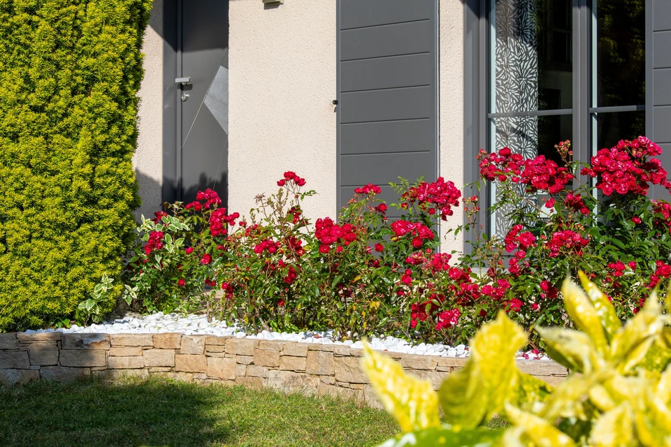 Extérieur résidentiel avec maison contemporaine en pierre et stuc beige, toiture en bardeaux bruns